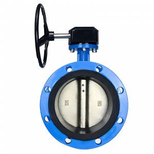 法蘭式蝸輪蝸桿蝶閥DN40，1.6Mpa（橡膠密封